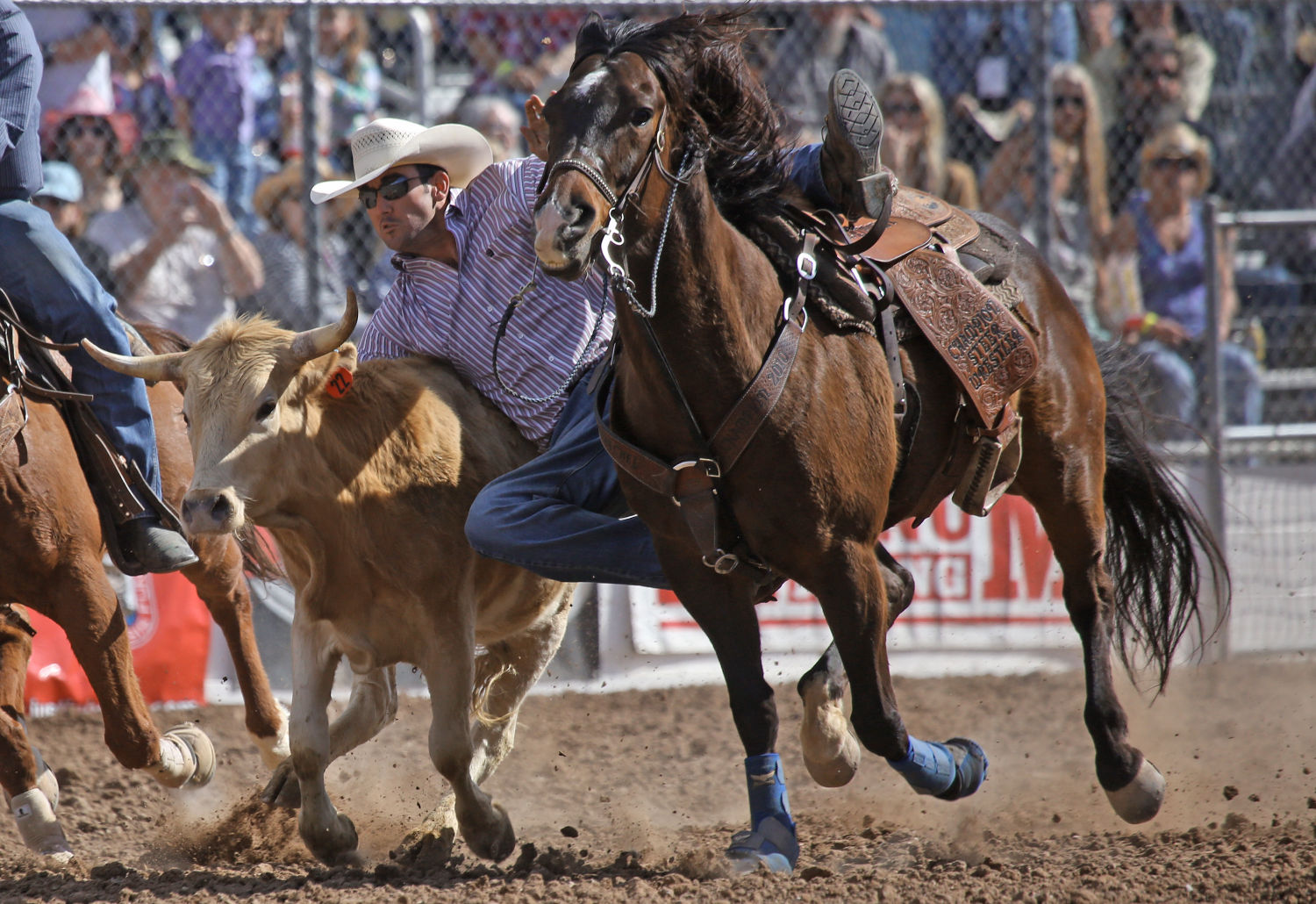 La Fiesta de los Vaqueros